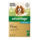 Advantage For Medium Dogs 4 To 10kg (Aqua) 1 Dose