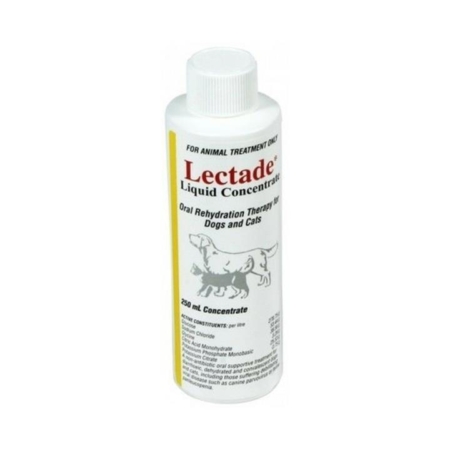 Lectade Liquid Concentrate  250 Ml