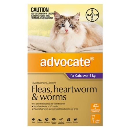 Advocate For Cats Over 4kg (Purple) 6 Doses