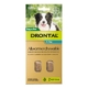 Drontal Wormers Chewable For Dogs Up To 10kg (Aqua) 2 Chews