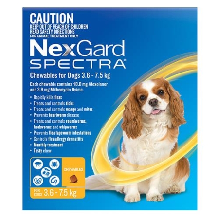 Nexgard Spectra Small Dogs (3.6 - 7.5kg) Yellow 3 Pack