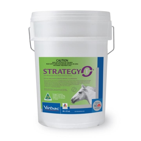 Strategy-T Paste 60 Pack Bucket 1 Pack