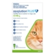 Revolution Plus For Large Cats 5 - 10kg (Green) 3 Pack