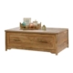 Coral Cape Coffee Table - Sindoori Mango