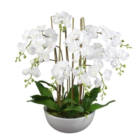 Phalaenopsis Orchid Artificial Plant Flower Decorative Large 75cm Ceramic Pot - White