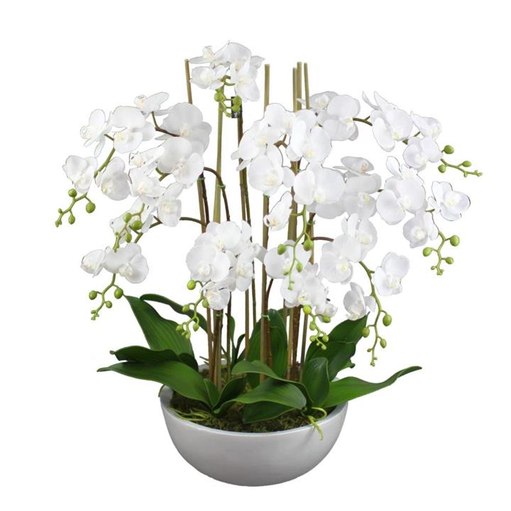 Phalaenopsis Orchid Artificial Plant Flower Decorative Large 75cm Ceramic Pot - White