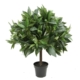 Bay Leaf Artificial Fake Plant Decorative 50cm In Pot - Green