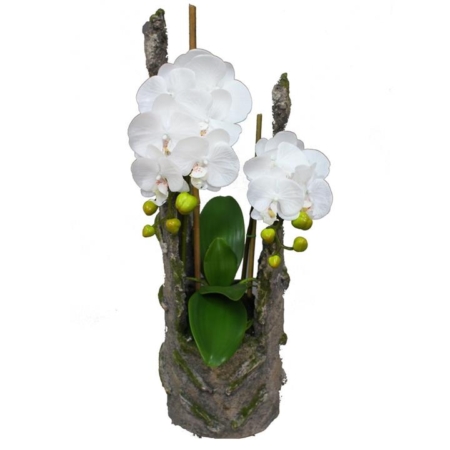 Phalaenopsis Orchid Artificial Plant Flower Arrangement 61cm In Cement - White