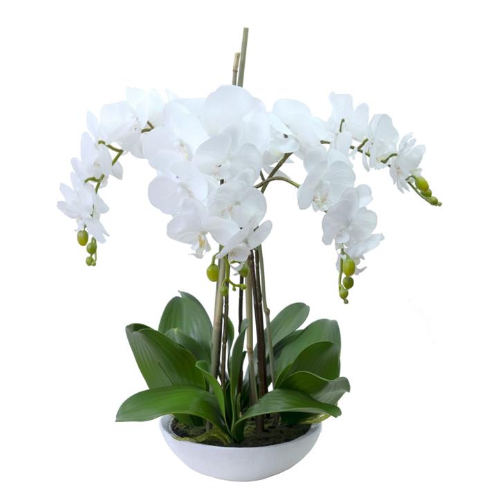 Phalaenopsis Orchid Artificial Plant Flower Decorative 60cm White Bowl - White