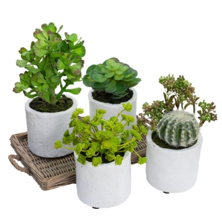 Set Of 4 Assorted Succulent Artificial Fake Plant Decorative In Pot - Green