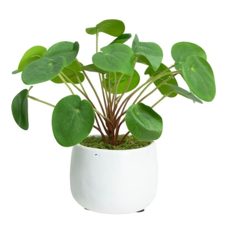 Money Plant Artificial Fake Plant Flower Decorative 27cm In Pot