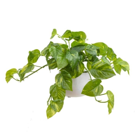 Pothos Artificial Fake Plant Flower Decorative 30cm In Pot