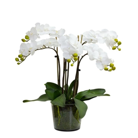Orchid In Cylinder Artificial Fake Plant Decorative Arrangement 60cm In Glass - White