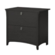 Salinas Wooden Classic 2-Drawer File Cabinet Office Storage - Vintage Black