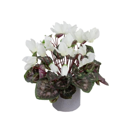 Cycalmen Artificial Fake Plant Decorative Arrangement 34cm In Pot Fuchsia