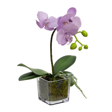 Lavender Orchid Artificial Fake Plant Decorative Arrangement 32cm In Square Glass