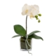 Peach Orchid Artificial Fake Plant Decorative Arrangement 32cm In Square Glass