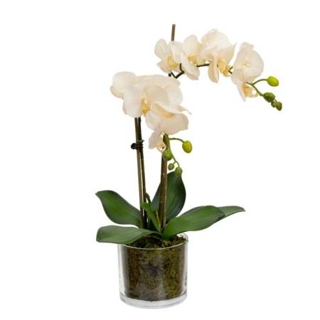 Peach Orchid Artificial Fake Plant Decorative Arrangement 45cm In Cylinder Glass