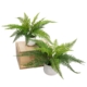 Set Of 2 Leather Fern Artificial Fake Plant Decorative Arrangement Green