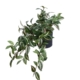 Wandering Jew Artificial Fake Plant Decorative Arrangement 45cm In Pot Green