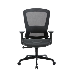 Daisy Mesh Seat Executive Manager Office Task Computer Working Chair - Black