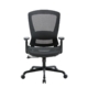 Daisy Mesh Seat Executive Manager Office Task Computer Working Chair - Black