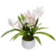 Cream Cymbidium Artificial Fake Plant Decorative Arrangement 43cm In Pot