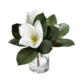 Magnolia Artificial Fake Plant Decorative Arrangement 32cm In Glass