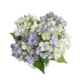 Purple & White Hydrangea Mixed Artificial Fake Plant Decorative Arragement 18cm In Glass