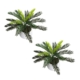 Set Of 2 Cycas Artificial Fake Plant Decorative 35cm In Pot