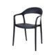 Set Of 2 Regas Modern Scandinavian Kitchen Dining Arm Chairs - Black