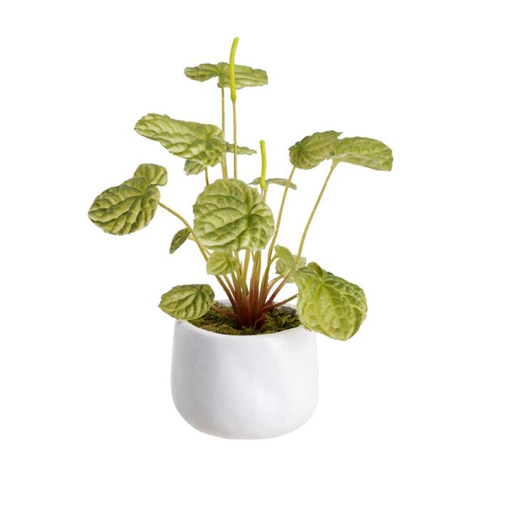 Green Begonia Bush Artificial Faux Plant Decorative 20cm In Pot