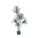 Mini Dracaena Artificial Faux Plant Decorative 120cm