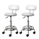 2X Saddle Salon Stool Swivel Backrest Chair Barber Chair Hydraulic Lift