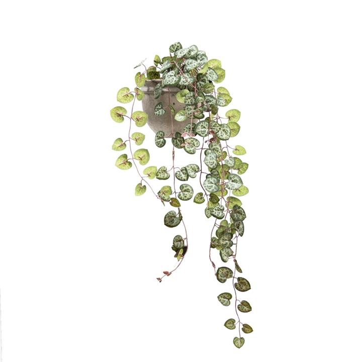 Ceropegia 47cm Artificial Faux Plant Decorative Hanging In Pot Green