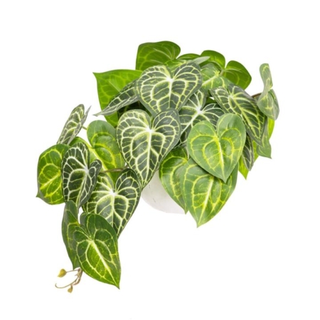 Green Caladium Bush 46cm Artificial Faux Plant Decorative In Pot