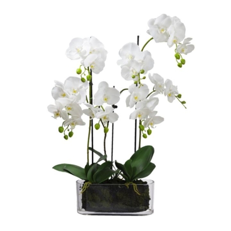 Orchid 70cm Artificial Faux Plant Decorative Arrangement In Flat Glass White