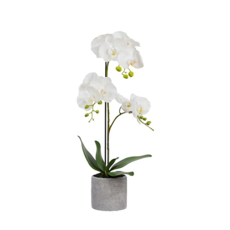 Orchid 65cm White Artificial Faux Plant Decorative Arrangement In Concrete Pot