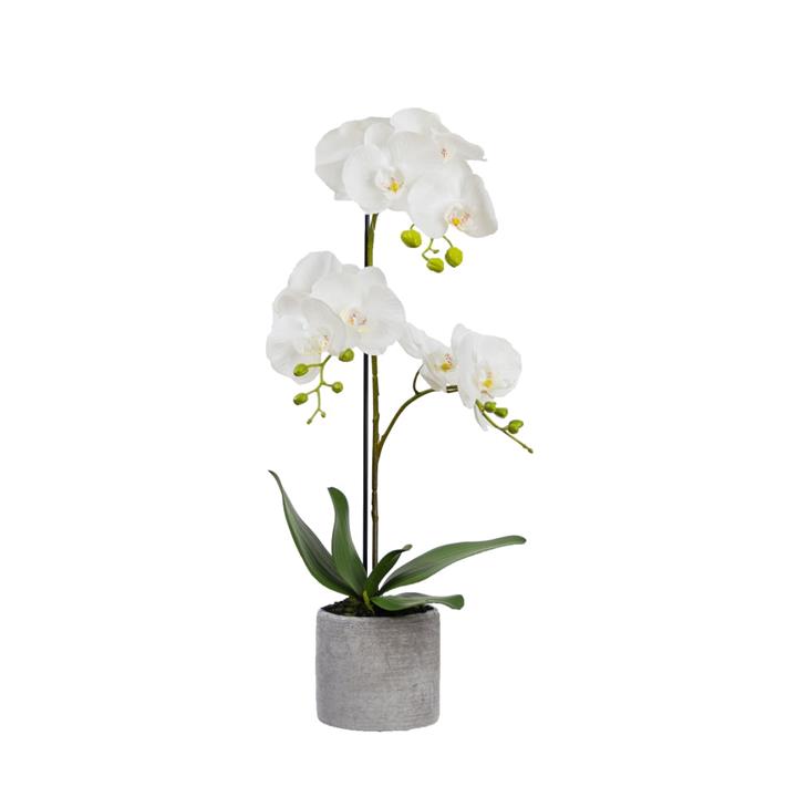 Orchid 65cm White Artificial Faux Plant Decorative Arrangement In Concrete Pot