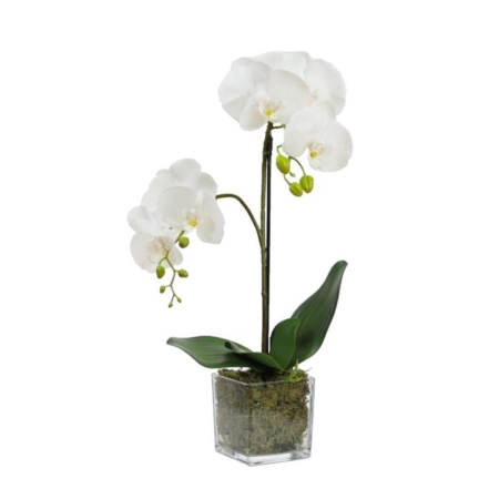 Orchid 56cm Artificial Faux Plant Decorative Arrangement In Square Glass