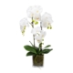Orchid 60cm Artificial Faux Plant Decorative Arrangement In Square Glass