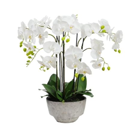 Orchid 78cm White Artificial Faux Plant Decorative Arrangement In Concrete Pot