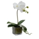 Orchid 32cm White Artificial Faux Plant Decorative Arrangement In Square Glass