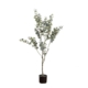 True Blue Eucalyptus 152cm Artificial Faux Plant Tree Decorative