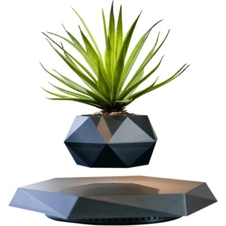 Gominimo Magnetic Levitating Plant Black Pot Desk Decor