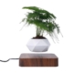 Gominimo Magnetic Levitating Plant White Pot Dark Brown Base Desk Decor