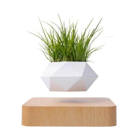 Gominimo Magnetic Levitating Plant White Pot Desk Decor