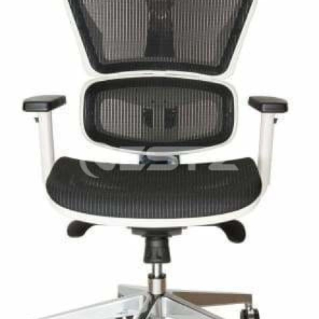 Ergohuman Replica Ergonomic Mesh Office Chair - White / Black