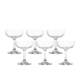 Stanley Rogers Tamar Champagne Coupe Glass 220ml Set of 6