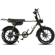 Fatfish Fat Tyre E-Bike